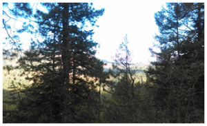 1-jemez-springs