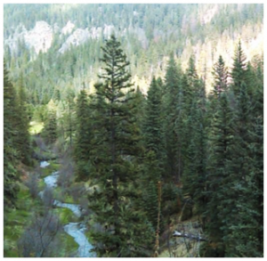3-jemez-springs